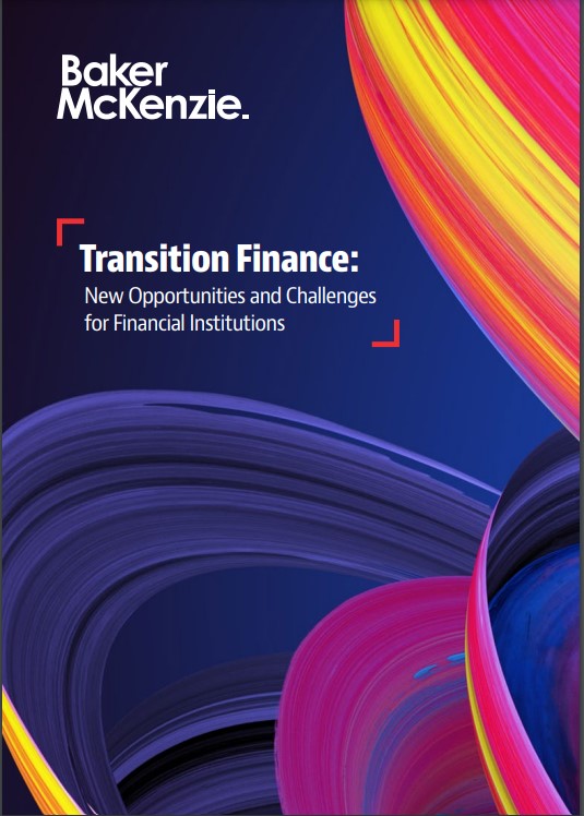 Transition Finance: New Opportunities and Challenges for Financial Institutions